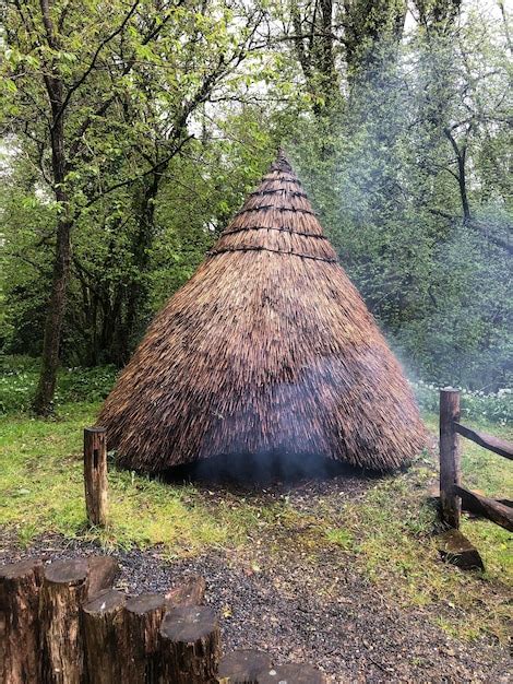 Caba A Vikinga En El Bosque Parque Del Patrimonio Nacional Irland S En