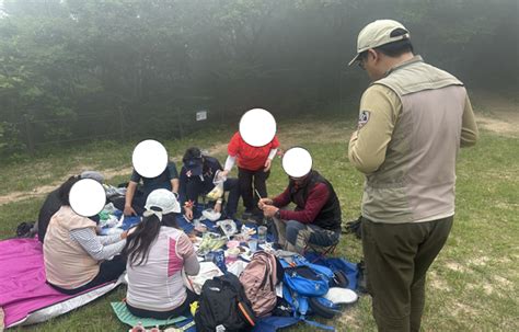 여름철 성수기 국립공원 내 불법행위 집중단속