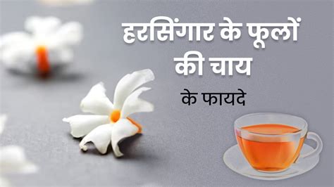 Parijata Flower Information In Hindi Best Flower Site