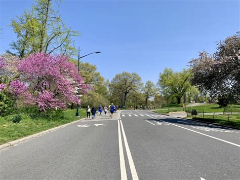 A Complete Guide to Running in Central Park (Jogging Routes, Map, Tips)