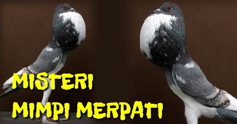 Misteri Arti Mimpi Burung Merpati Menurut Psikolog Dan Ahli Tafsir