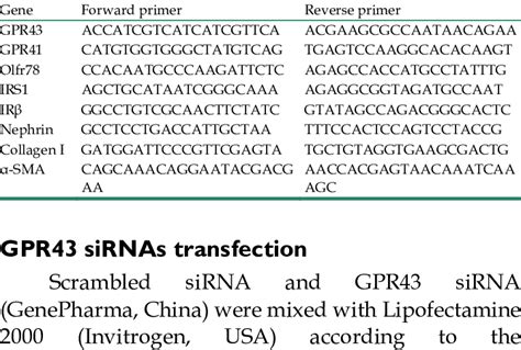 Mouse Gene Primers For Real Time Pcr Download Scientific Diagram