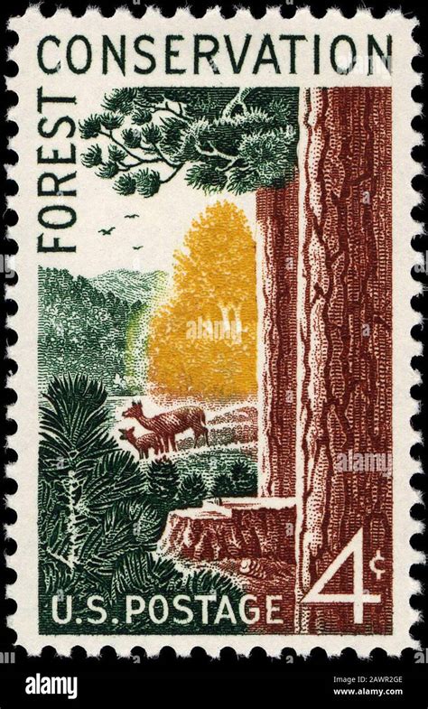 Forest Conservation 4c 1958 Issue U S Stamp Stock Photo Alamy