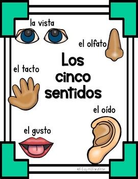 The Five Senses In SPANISH Los Cinco Sentidos By Bilingual Busy Bees