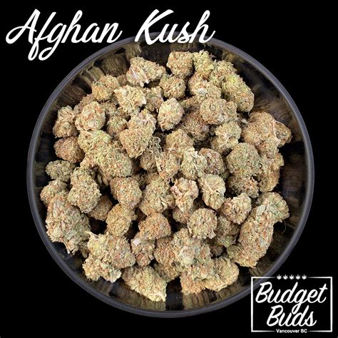 Afghan Kush Indica Oz Budget Buds