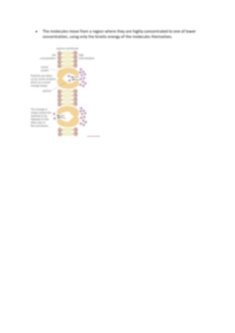 Solution Aqa A Level Biology 4 Transport Across Cell Membranes Section