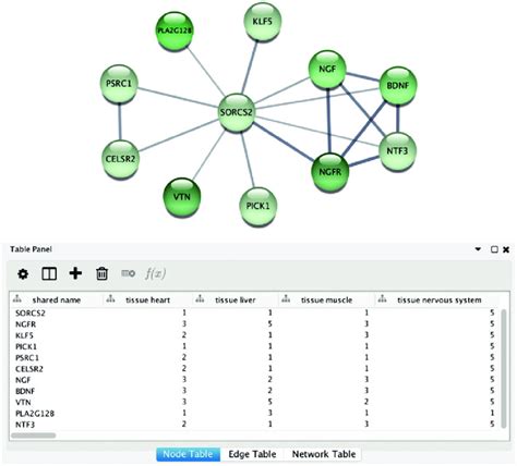 STRING App In Cytoscape With Tissue Information A The Newly