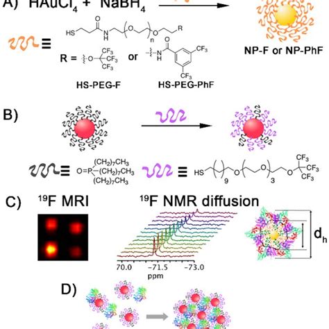 Pdf Fluorine Labeling Of Nanoparticles And In Vivo F Magnetic