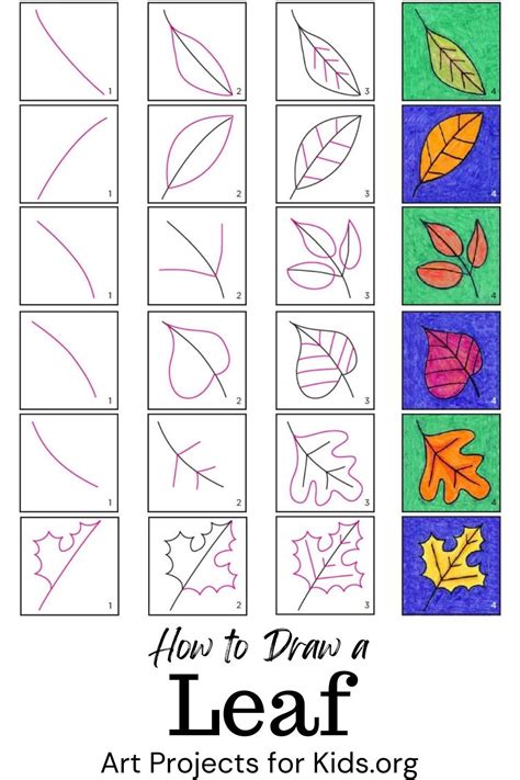 6 Easy How To Draw A Leaf Tutorial With Leaf Drawing Video And Coloring