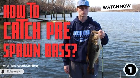 KNJFishing The Breakout Season Pre Spawn Bass Fishing On The Upper