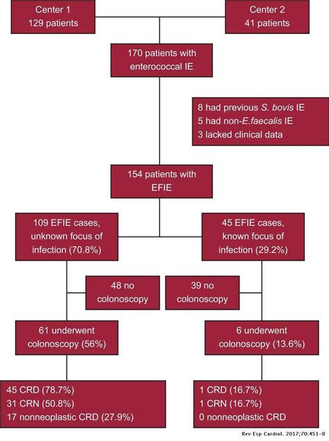 Relationship Between Enterococcus Faecalis Infective Endocarditis And