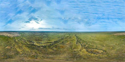 Panorama 360 Of A Blooming Desert In Spring From A Bird S Eye View