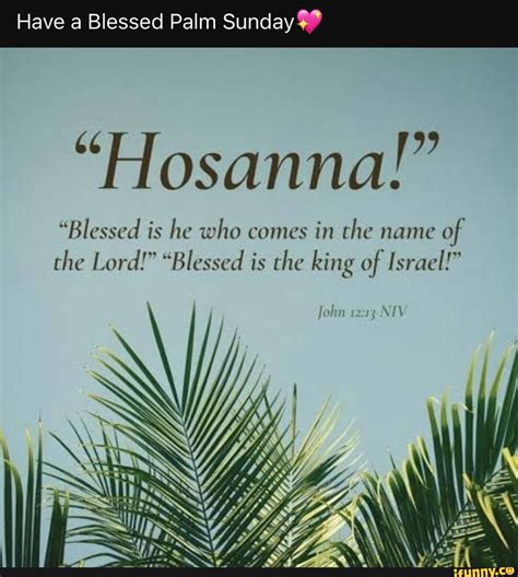 Have A Blessed Palm Sunday Hosanna Blessed Is He Who Comes In The