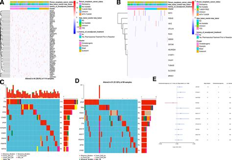 The Landscape Of Mutations Among Pca Metabolic Subgroups This Heat Map