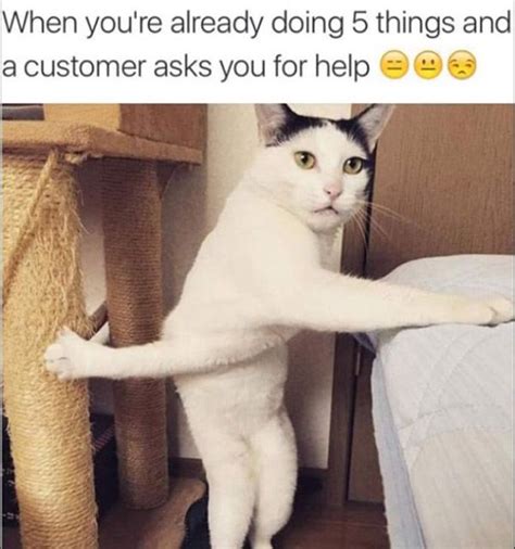 36 Customer Service Memes That Prove Its Torture With A Paycheck