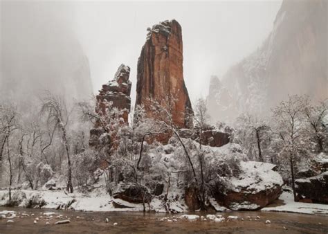 Winter in Zion National Park: What to Know Before You Go - Eternal Arrival