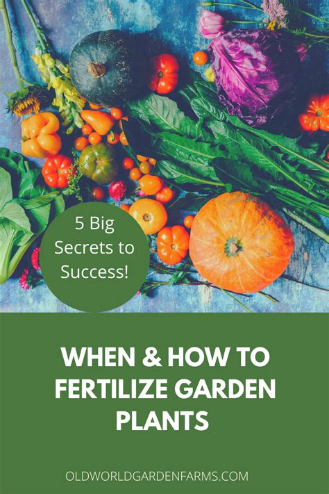 When And How To Fertilize Garden Plants 5 Big Secrets To Success In 2021 Plants Garden