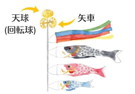 鯉のぼり吹き流しの色の順番は？意味や由来、名前についても詳しく紹介！ 40歳からの美活ライフ