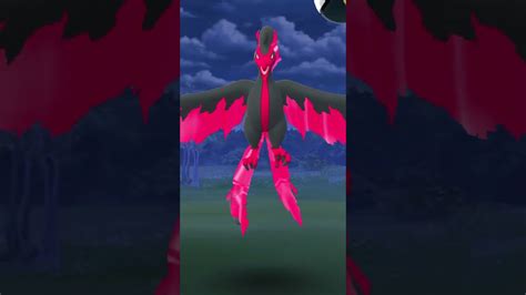 Galarian Moltres Pokemon Go Youtube