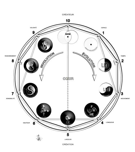 Les Grands Arch Types Le Langage Des Oiseaux