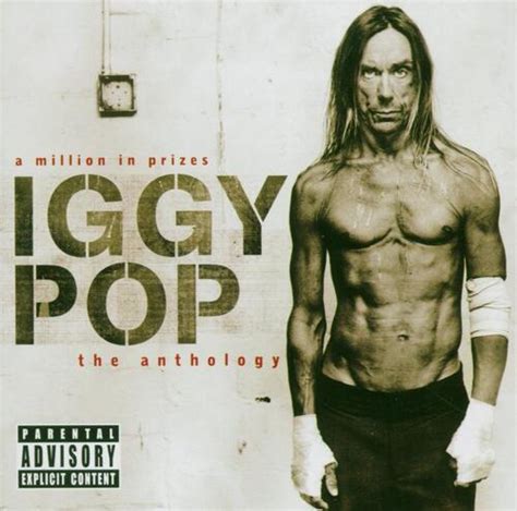 Iggy Pop Vinyl 3589 Lp Records And Cd Found On Cdandlp