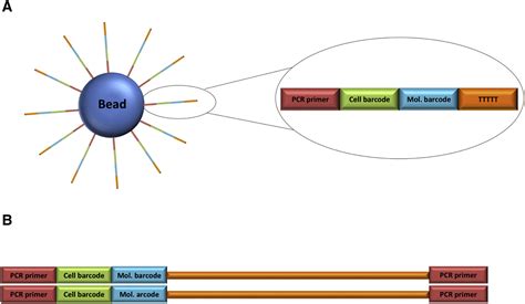 An Introduction To The Analysis Of Single Cell Rna Sequencing Data