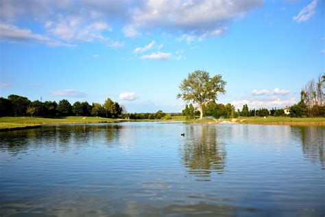 Parco Di Serravalle Alpitos Flickr