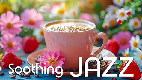 Soothing Morning Jazz 🎧 Smooth Bossa Nova And Relaxing Jazz Instrumental Music For A Happy Day