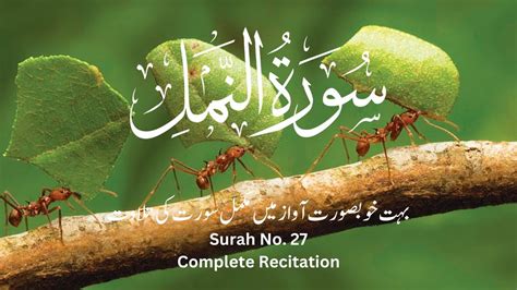 Surah An Naml Complete Recitation By Mustafa Raad Al Azzawi Surah No