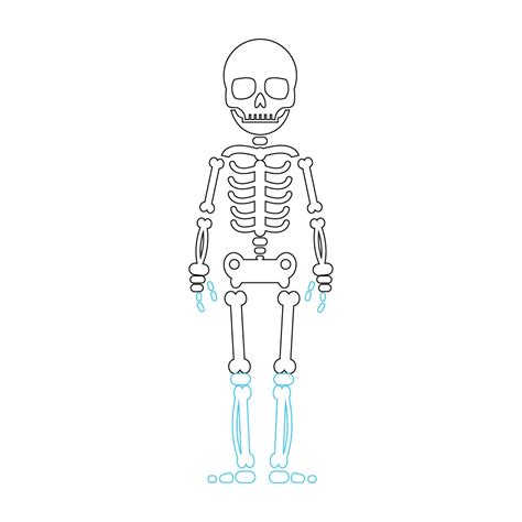 How To Draw A Skeleton Step By Step