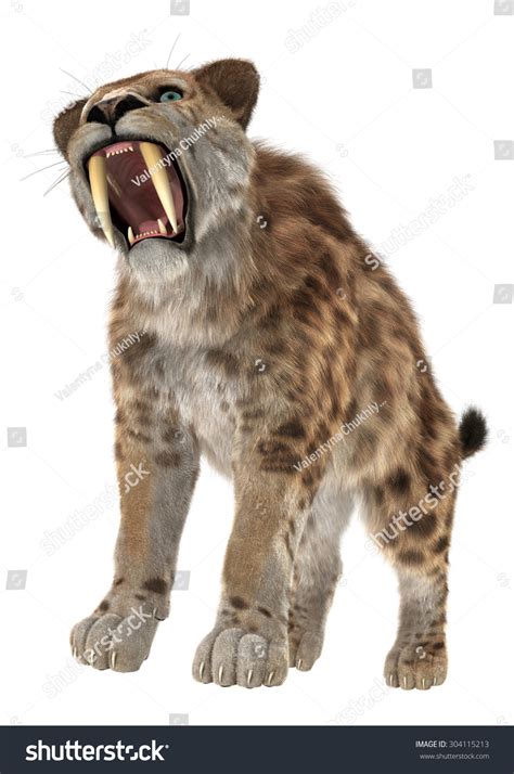 3d Digital Render Smilodon Saber Toothed 스톡 일러스트 304115213 Shutterstock