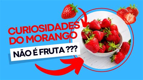 Voc Sabia Fatos Curiosos Sobre O Morango Que V O Te Surpreender