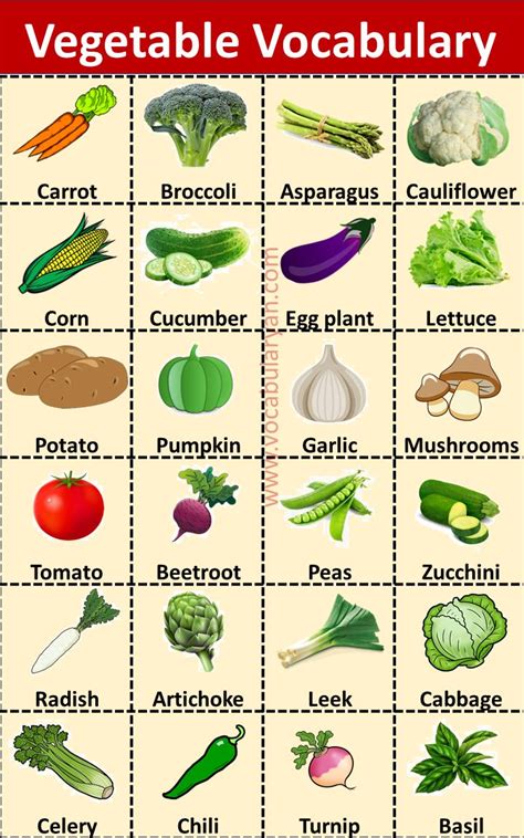 An Image Of Vegetables And Their Names