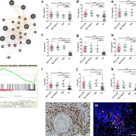 Immune Response Induced By CGRP Deficiency Macrophages Can Be Observed