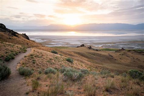 Visiting The Great Salt Lake Things To Do At Antelope Island State Park