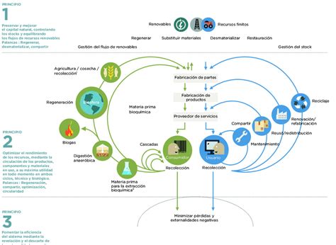 Esquema De Una Economía Circular Fuente Ellen Macarthur Foundation