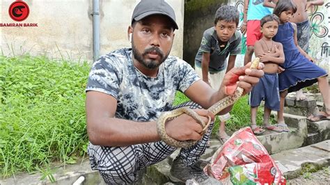 সাপ উদ্ধার করতে গিয়ে কামড় খেয়ে গেলামএকসাথে পাঁচটা সাপ উদ্ধার🔥snakes