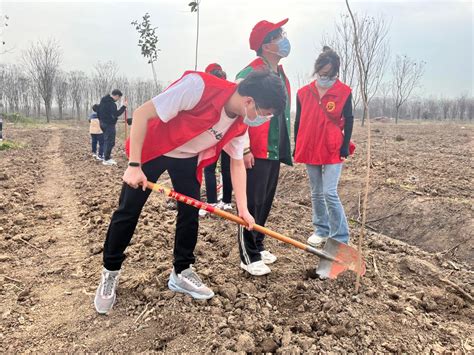 管理学院团委组织青年团员义务植树 管理学院