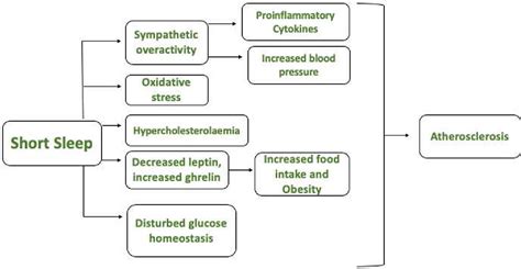 Figure From Biological Pathways Underlying The Association Between