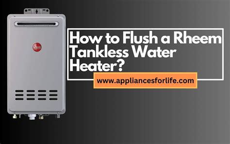 How To Flush A Rheem Tankless Water Heater Appliances For Life