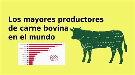 Los Mayores Productores De Carne En El Mundo Carne YouTube