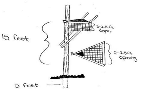 Ferruginous Hawk Nesting Structures — Manitoba Beef & Forage Initiatives