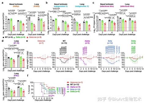 Nature发布研究揭示奥密克戎变异株的复制能力及致病力下降 知乎