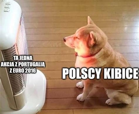 Memy O Reprezentacji Polski Dziennik Polski