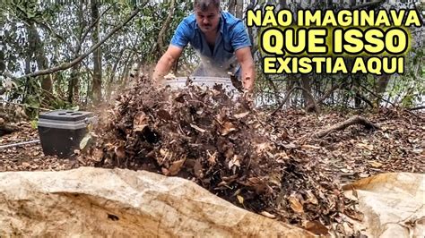 Veja S O Que Eles Encontraram Na Selva Amaz Nica Youtube