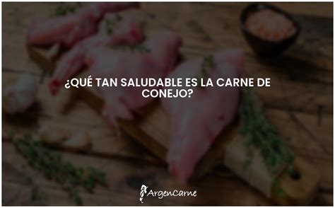 Beneficios Y Propiedades De La Carne De Conejo Para La Salud ARGENCARNE