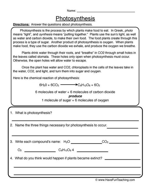 Photosynthesis Worksheets Grade 6