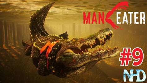 Let S Play Maneater Pt9 Apex Alligator YouTube