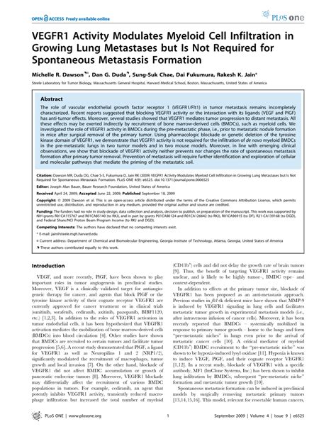 Pdf Vegfr Activity Modulates Myeloid Cell Infiltration In Growing