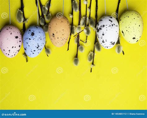 Pussy Willow Twigs With Easter Eggs Isolated On Yellow Spring And